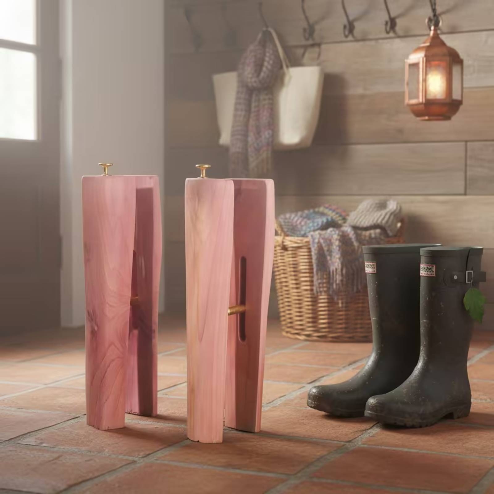 Embauchoirs en bois de cèdre,  - Shoe Tree Cedar avis et prix